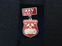 XXV лет. Депутатский. 1951 (ИВ_2.1.12)